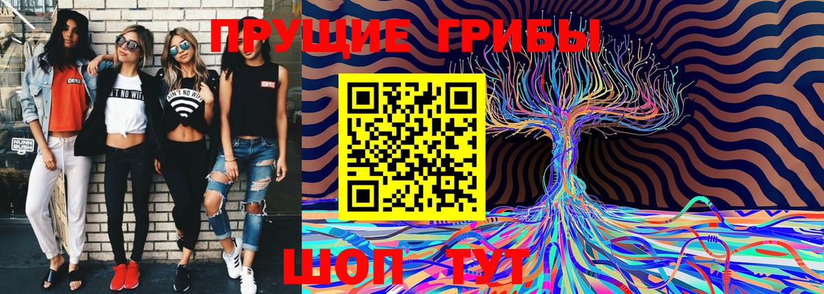 Галлюциногенные грибы GOLDEN TEACHER Лениногорск