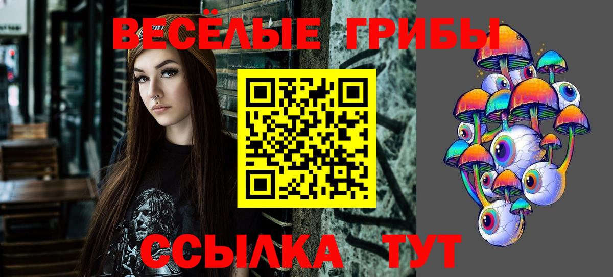 Лениногорск  где найти наркотики  Вход с VPN  Галлюциногенные грибы мицелий 